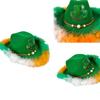 Accesorii de petrecere – Accesorii pentru ceremonii și petreceri