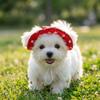 Breathable Dog Fisherman Hat Adjustable Pet Sun Cap Party Photo Dress Cat Sunscreen Hat  Kitten