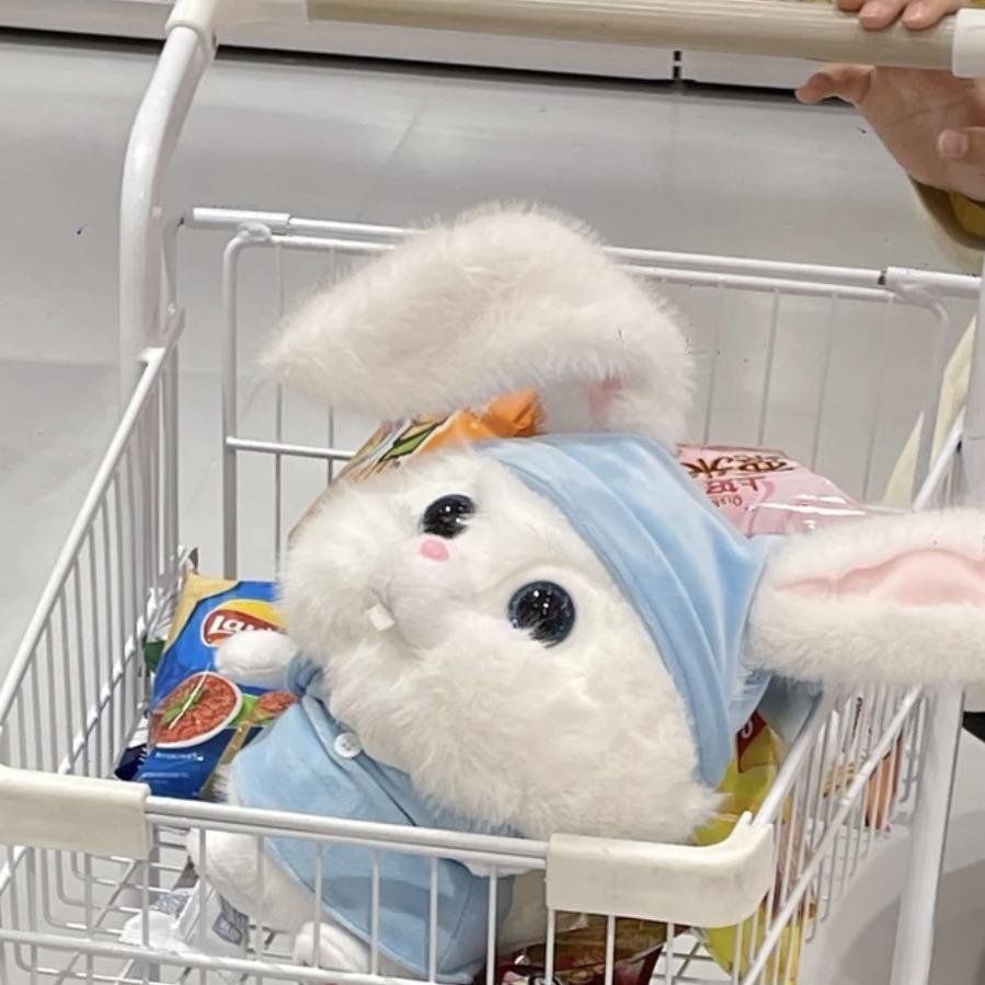 Boss Bunny: Long-Eared Plush Rabbit Doll Gift for Girls' Birthdays