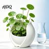 Modern Home Decor Planter Tulip Flower Shape Planter 3D Printed Decorative Pot Soil Cultivation Bowl Pot Minimalist Plant Container for Office Desk