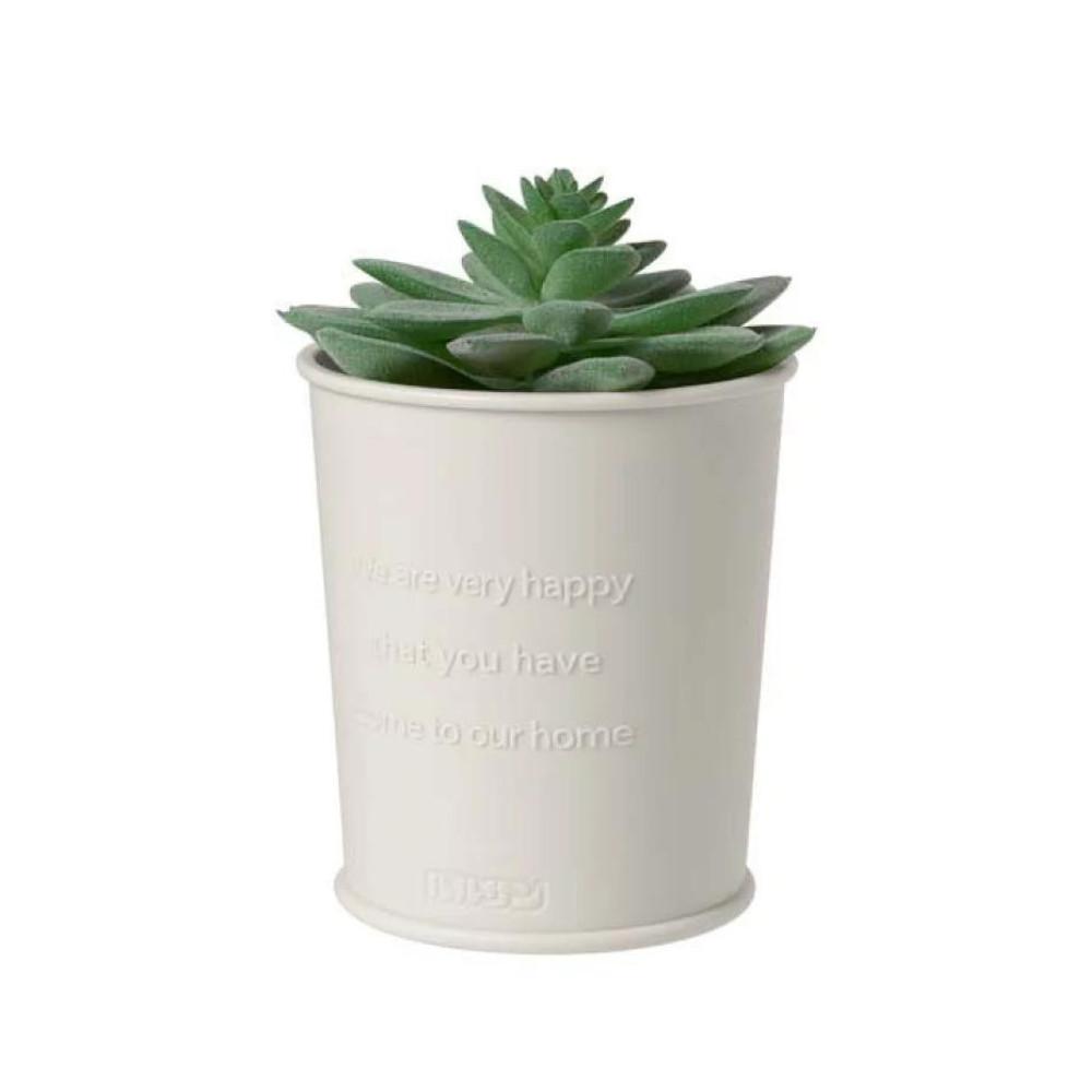 Lec Varsan Okudake Mushikonaimon Insect Repellent Bear Type  Plant Type  Cartridge 1 Year