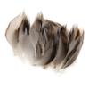 Confezione da 50 Piume di Anatra Selvatica 4-12 cm Piume Naturali per Costumi Cosplay Matrimoni Feste Decorazioni di Halloween