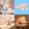 Jc Smudge Pig Plush Toy With Pp Cotton Filling For Kids And Gift Giving