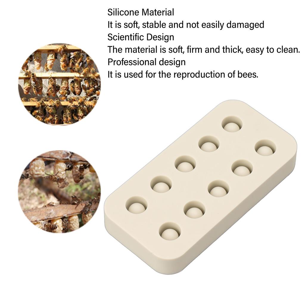 High Quality Silicone Queen Bee Cup Mold, Reusable, Easy To Clean, Durable, Suitable for Beekeeping Tools for Wax Grafting