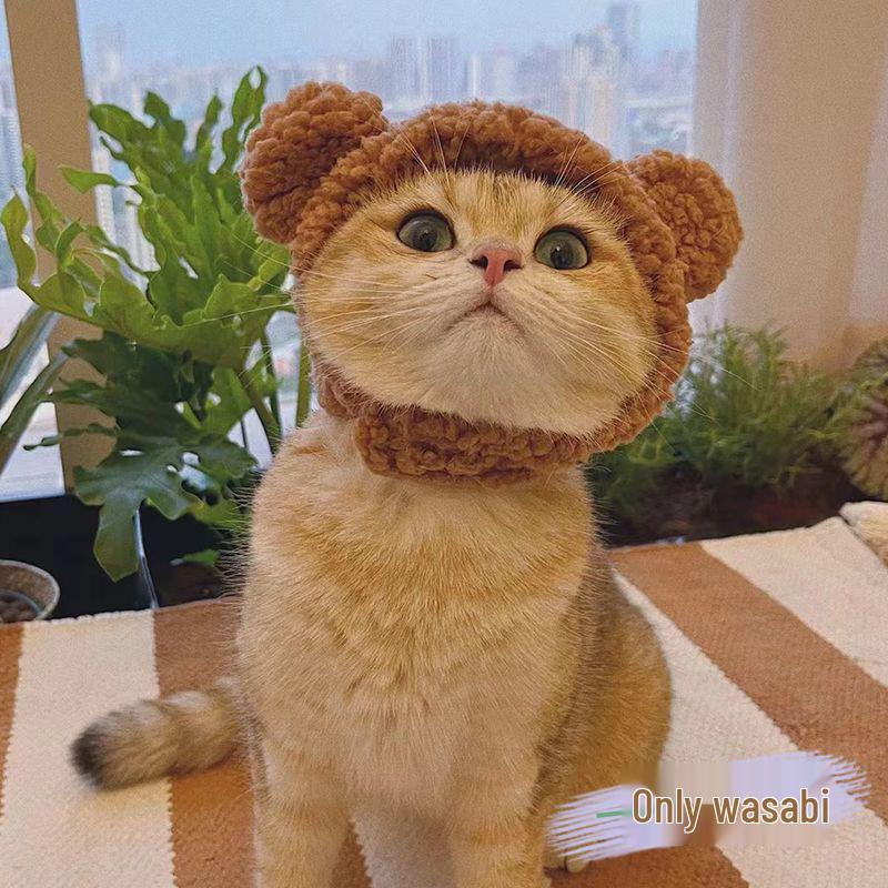 Yellow Pet Hat with Feather Teaser for Cats & Dogs