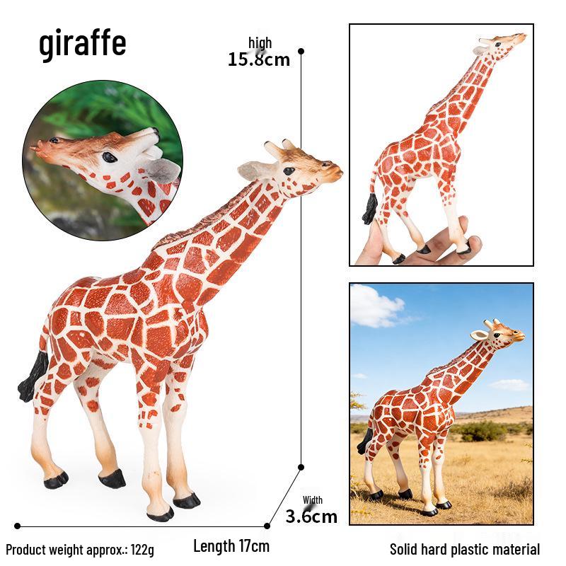 Giraffe Model Educational Toy for Kids  Science Learning