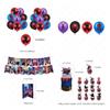 Into Spiderman The Spiderverse Birthday Party Flag Pulling Decoration Set