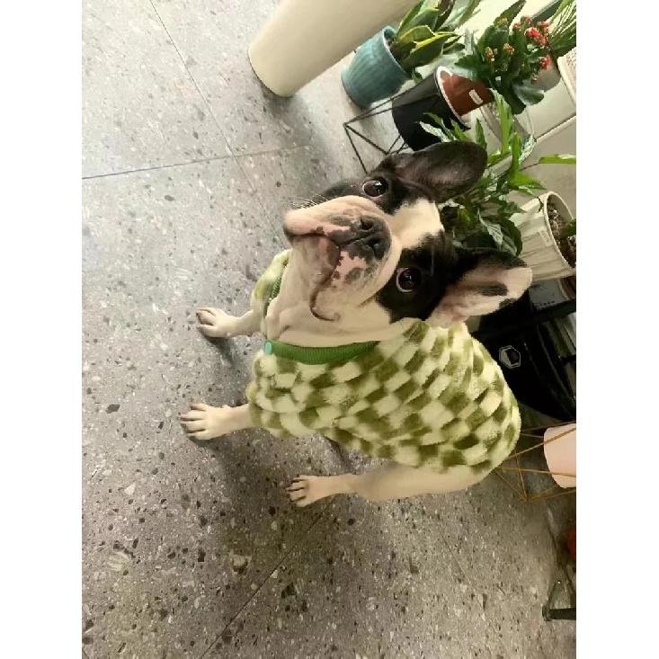 French Bulldog Winter Dog Clothes Coat Warm and Thickened Vest Jacket Fat Dog Costume Bulldog Pug Green Plaid Pet Dog Clothes