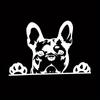 2 Sheets Dog Car Window Decal Funny Dog Decals for Any Smooth Surface