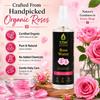 V-Truss Organics Rose Water Toner for Face & Skin - 200ml | Pure Natural Gulab Jal for Hydration, Refreshing Facial Mist & Skin Care | Paraben Free