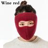 Winter Warm Mask Dustproof Breathable Earmuff Mask Riding Earprotecting Mask