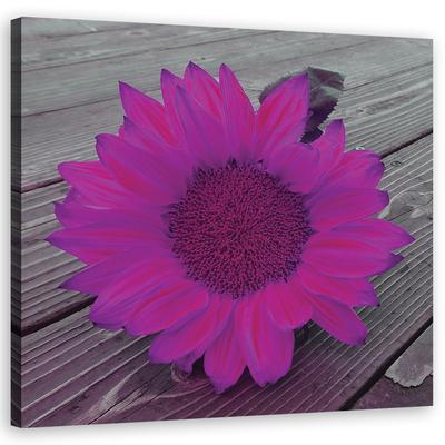 Canvas Print Pink Sunflower