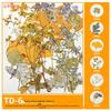 Handmade Pressed Flower Bookmark and Epoxy Sticker Pack with Real Leaf and Plant Specimens for DIY Face Makeup.