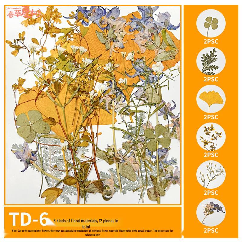 Handmade Pressed Flower Bookmark and Epoxy Sticker Pack with Real Leaf and Plant Specimens for DIY Face Makeup.