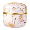 Rusts Resistant Teas Tin Portable Tinplate Storage Box Sealed Candy Snacks Coffee Canister For Travel Kitchen Use