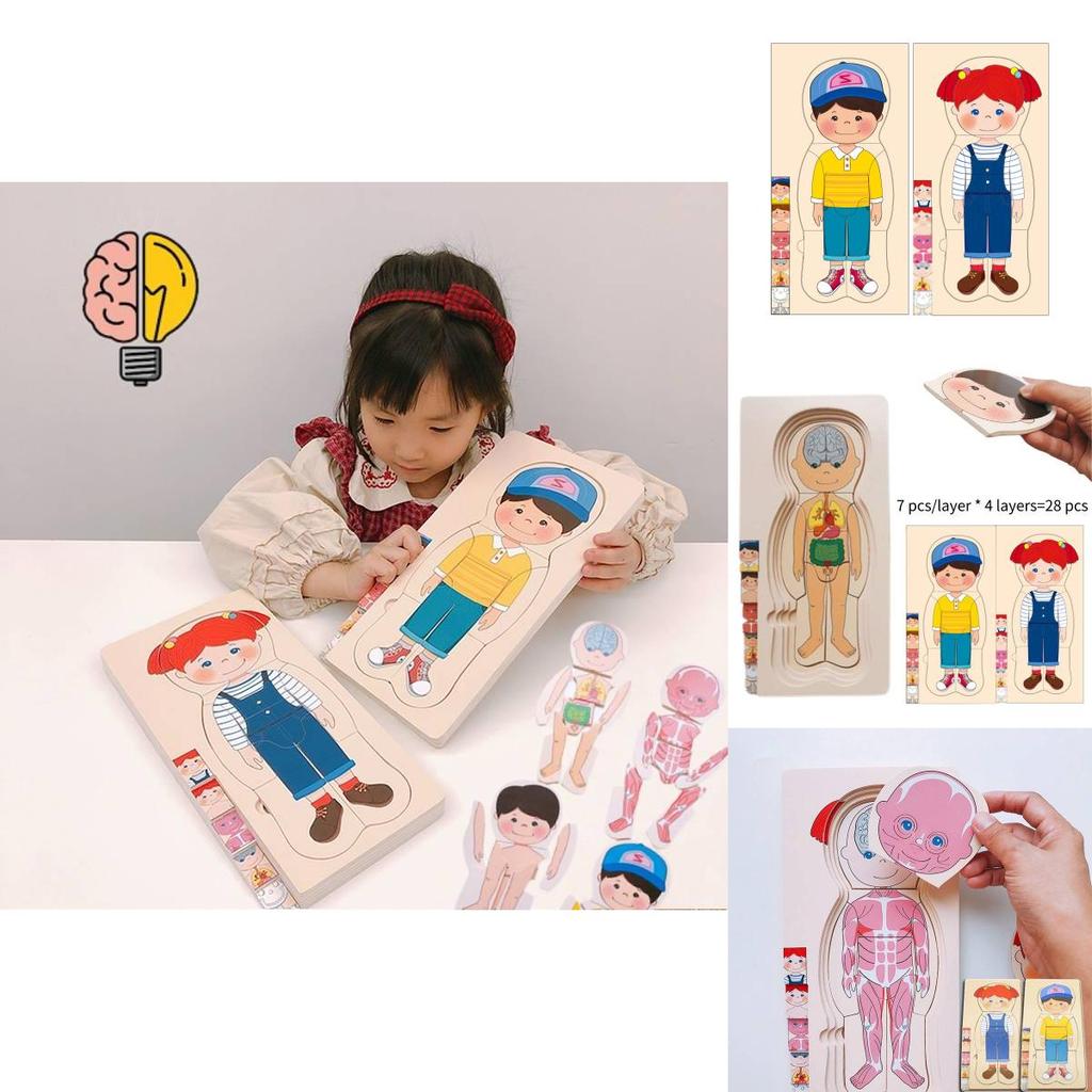 Holz-Puzzle-Spielzeug zur menschlichen Körperstruktur für Jungen und Mädchen
