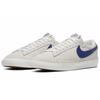 New Nike Sb Blazer Low Polar Skate Co AV3028-100
