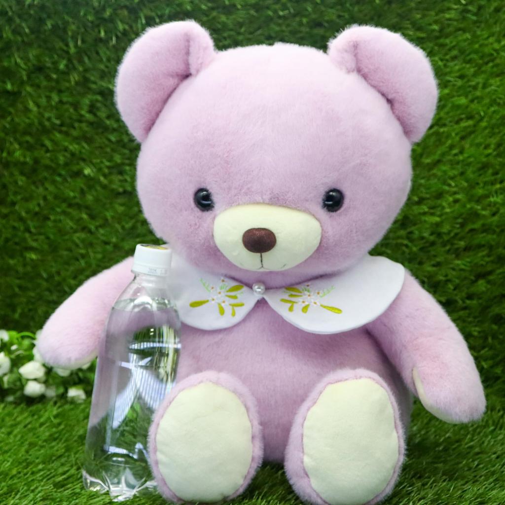 Takeoff Bear Cub Drop Retro Pastel Colored Bear Cute Flower Embroidery On the Collar Stuffed Toy L Purple Music [with Box]