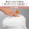 Zojirushi Glass Air Pot Matte Beige AB-RC22-CM 2.2L