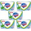 Safeguard Icy Mint Refresh Bar Soap