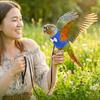 Adjustable Parrot Flying Harness Breathable Parrot Flight Suit Parrot Vest  Macaw Accessories