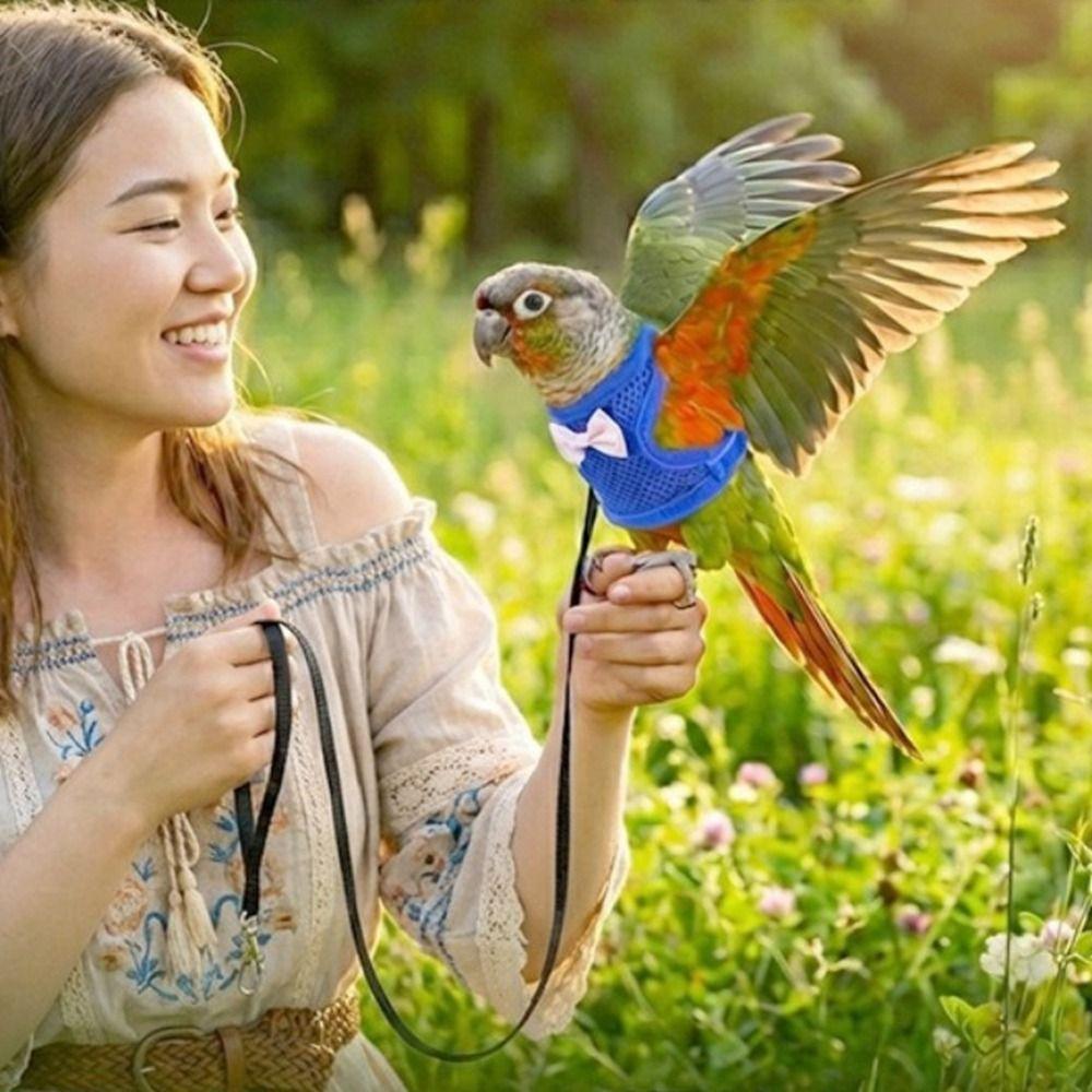 Adjustable Parrot Flying Harness Breathable Parrot Flight Suit Parrot Vest  Macaw Accessories