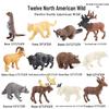 Wildlife Simulation Set: Gray Wolf, Hedgehog, Red Fox, Tree Frog, Wild Boar, Chipmunk, White-tailed Deer - Perfect Christmas Gift