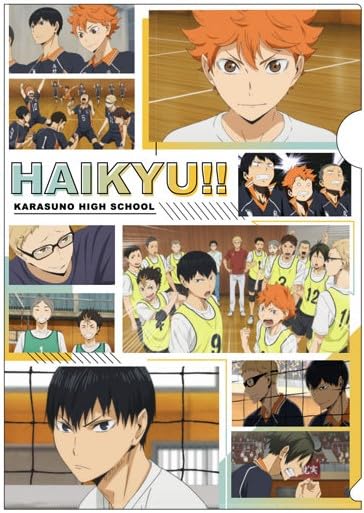 Haikyuu Clear File Karasuno Nekoma Collage 2 Official Merchandise