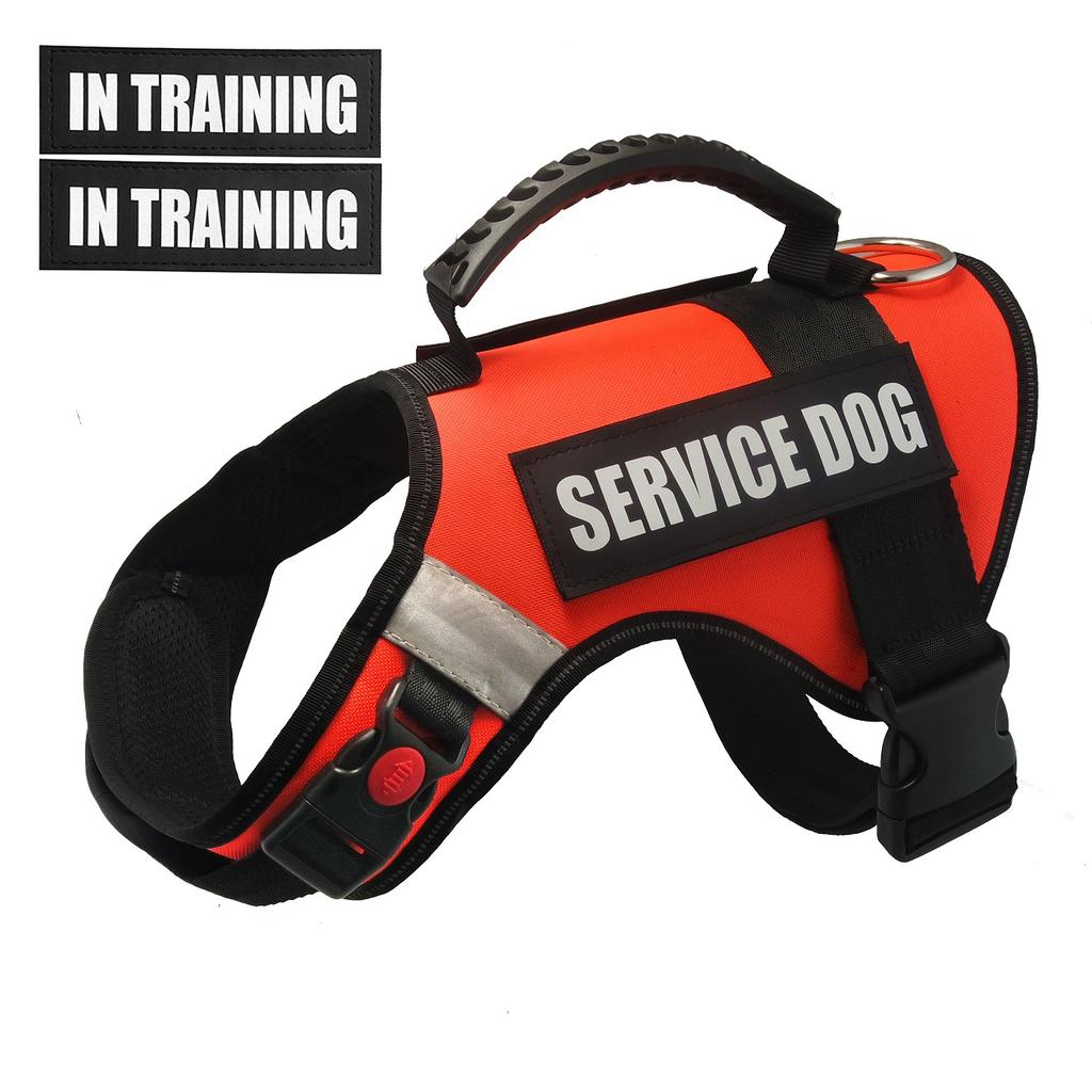 Military Training Style Nylon Pet Harness, Camouflage Dog Harness, Reflective Patches, Dog Collar, NoPull Rubber Handle