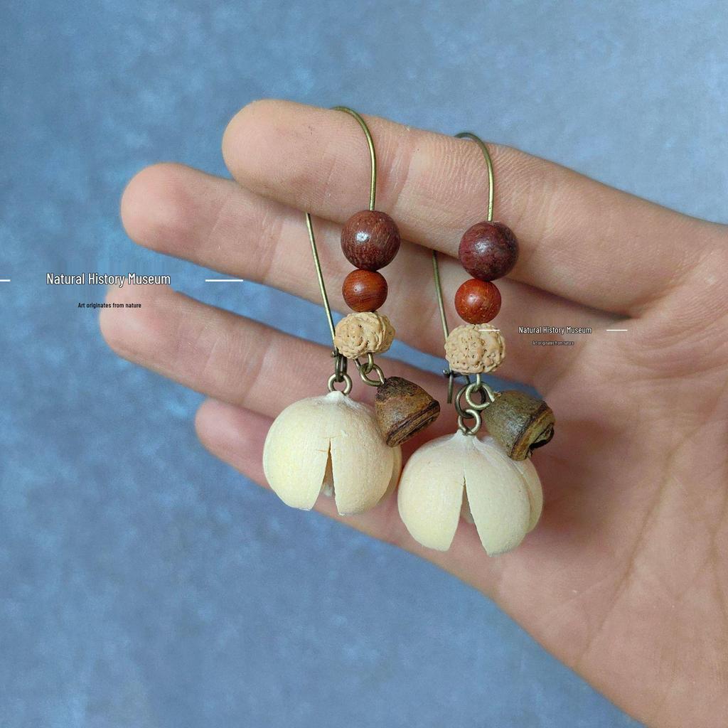 Fruit Earrings - Handmade Natural Dried Fruit Earrings, Retro Chinese Medicine Ethnic Style, for Women.
