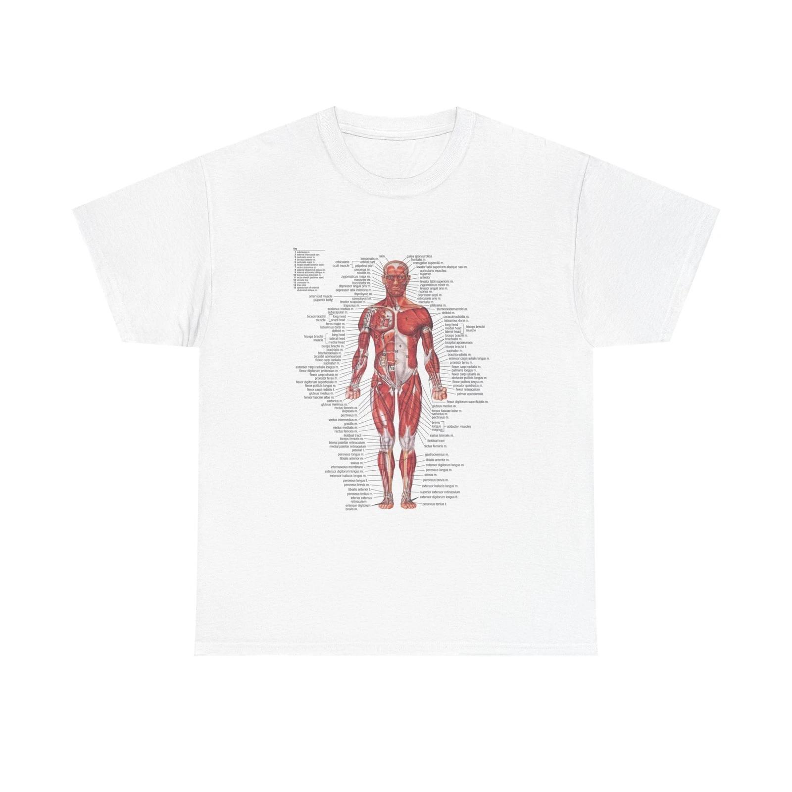 Anatomical Chart TTshirt  Worn by Kurt Cobain , Anatomical Chart Tee S