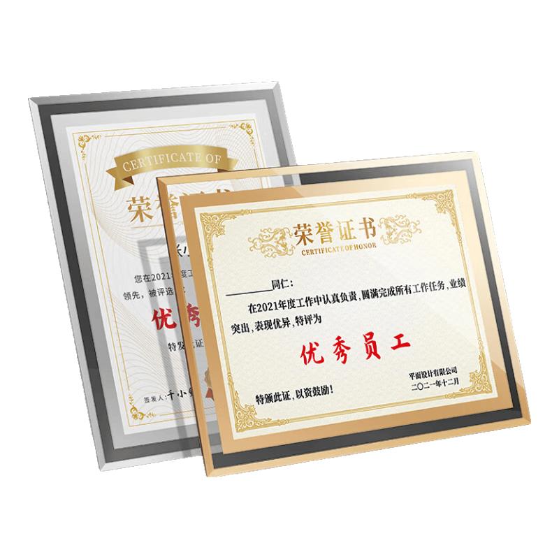 DSB Crystal Certificate & Award Display Frame
