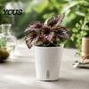 Self Watering Pots for Indoor Plants Plant Plants, Small Planters with Water Level Indicator, Clear Gardening Pothos Inner Cup, Drainage
