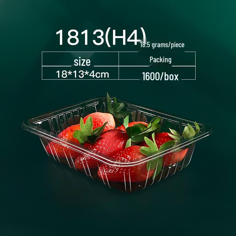 Sushi, Roast Duck, Pastry & Fruit Takeaway Box Set with Free Shipping & 100 Rubber Bands