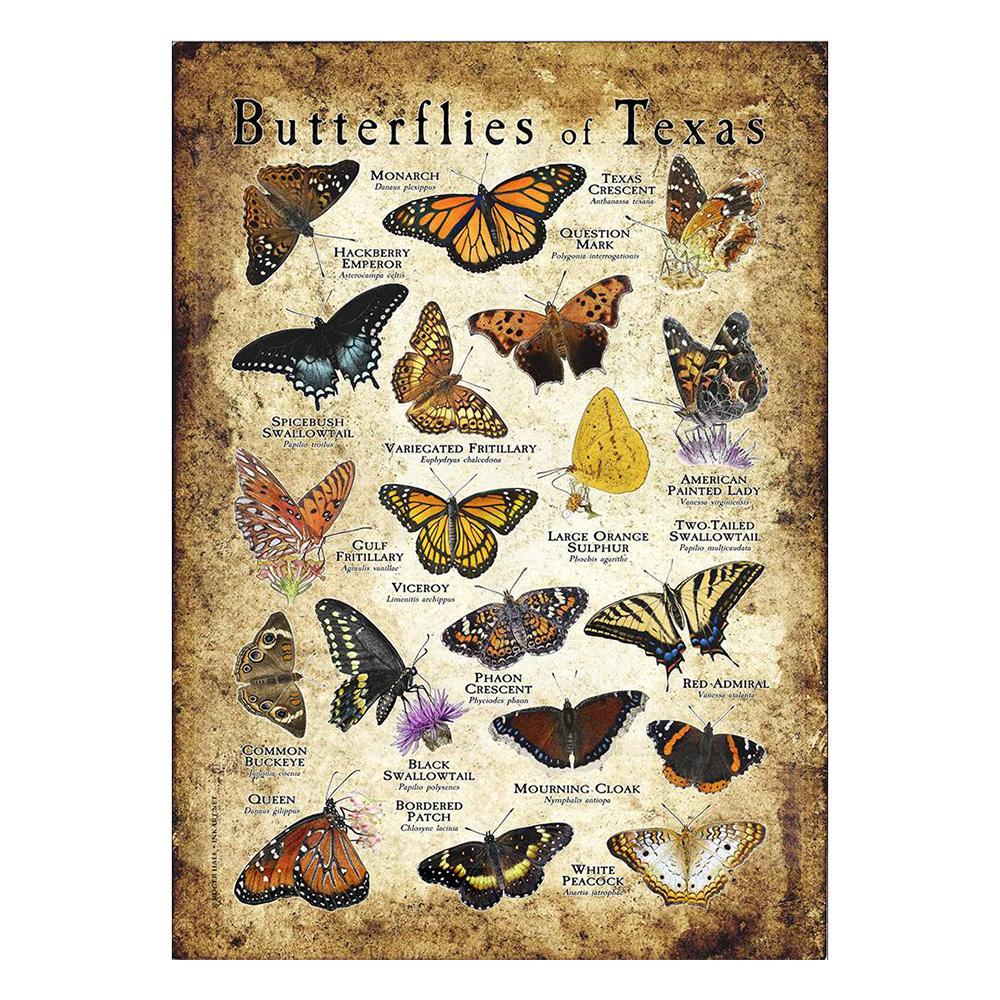 Abstrakt HD-tryck Fjäril Groda Fåglar Haj Marina Djur Collage Poster Canvas Målning Vintage Väggkonst För Barn Sovrum Heminredning