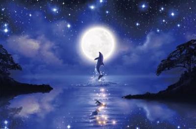 Yanoman In 1000 Piece Jigsaw Puzzle LASSEN Dreaming Night Piece Request Postcard with Spatula Service Card Jigsaw Puzzle Triset Included [Made Japan]