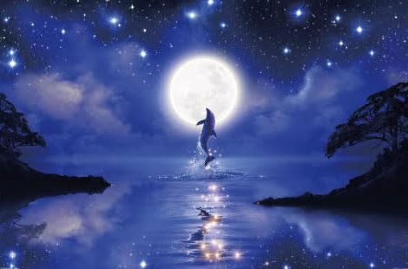 

Yanoman в пазле LASSEN Dreaming Night из 1000 деталей. Открытка с просьбой о покупке детали и лопаточкой. В комплект входит набор из трех деталей пазла [Сделано в Японии]