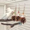 Parrot Natural Pinecone Chew Toy Bird Beak Grinding & Boredom Relief Pine Ornament Bird Cage Decoration  Pet Supplies