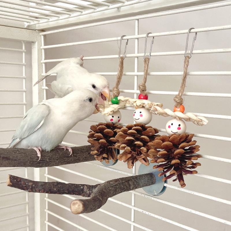 Parrot Natural Pinecone Chew Toy Bird Beak Grinding & Boredom Relief Pine Ornament Bird Cage Decoration Pet Supplies