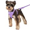 Candy Color Dog Harness Vest Reflective Breathable Dog Chest Strap PVC Anti breakaway Pet Accessories Pet Outdoor Walking