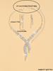 3 pieces of women's fashion trend irregular necklace and earring set, banquet and party accessories