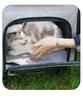Portable Breathable Foldable Pet Trolley Bag for Cats and Dogs