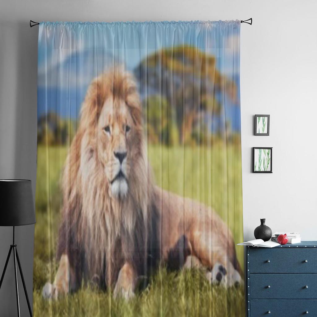 Großer Löwe liegt auf Savannengras Tüll Transparent Vorhänge für Wohnzimmer das Zimmer Schlafzimmer Küchendekoration Voile Organza Vorhänge