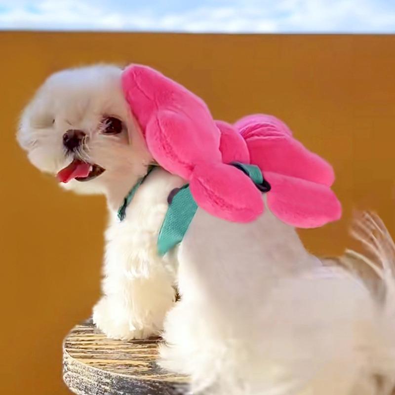 Pet Bow, Chest and Back Strap, Leash, Dog Walking Rope, Dog and Cat Going Out Chest and Back Cat Supplies, Collar