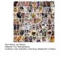 100 Pcs Cute Cat Stickers for Kids Boys Girls Waterproof Cat Meme Decals for Laptop Skateboard Luggage Car Bumper Water Bottle Decor