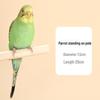 Solid Wood Bird Stand Rod with Screws for Starlings, Mynas, Parrots - Cage Accessory Platform.