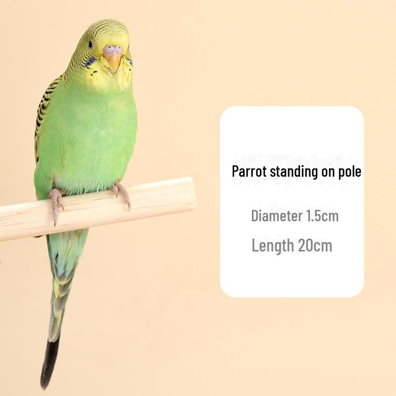 Solid Wood Bird Stand Rod with Screws for Starlings, Mynas, Parrots - Cage Accessory Platform.