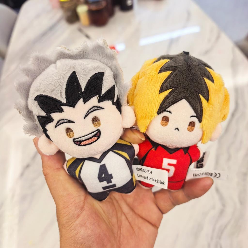 10CM Haikyuu Plush Pendant Toy Hinata Shoyo Tobio Kageyama Tadashi Yamaguchi Dolls Coin Purse Blue Prison Keychain Pendant Gift