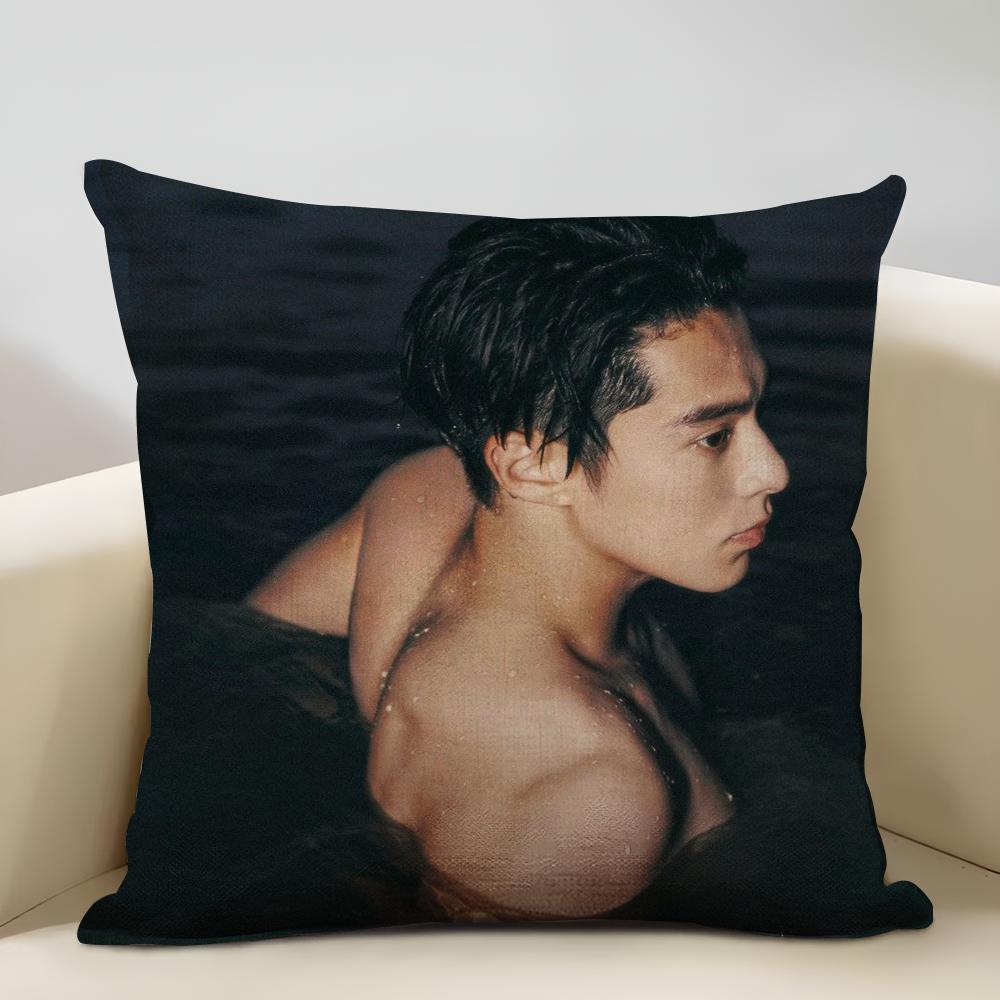 Dylan Wang Chinese Actor Cushion Household Decoration Linen Sofa Cushion Cover: Skin-Friendly & Breathable with Invisible Zipper