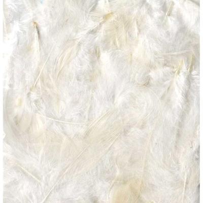 Artemio - Messy Feathers White 10g (large Package)